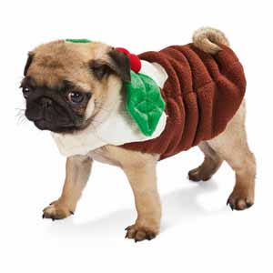 Dog Christmas jumper. Christmas pudding design