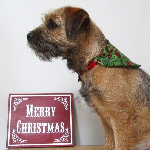 green neckerchief with holly detail for dog