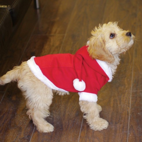 Dogs Christmas jumper. Santa costume with hood and pom pom