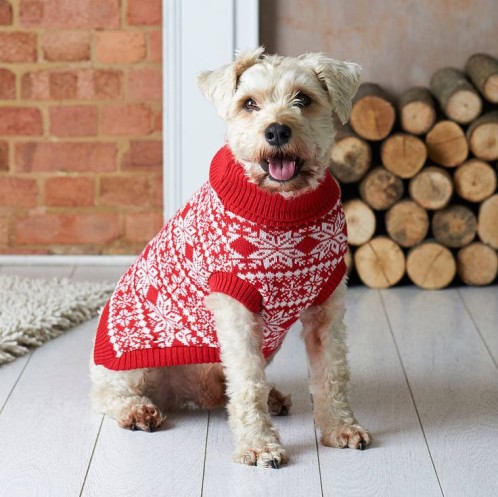 Pets Christmas jumpers. Red jumper with snowflakes for dogs