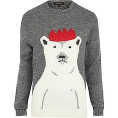 Grey crewneck jumper with polar bead wearing a hat.