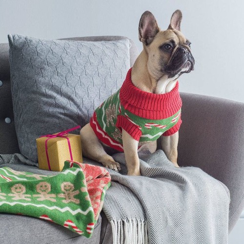 Gingerbread man dog's Christmas jumper