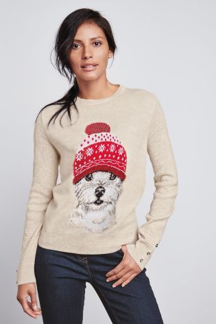 Dog wearing a fair isle knit hat - Christmas jumper