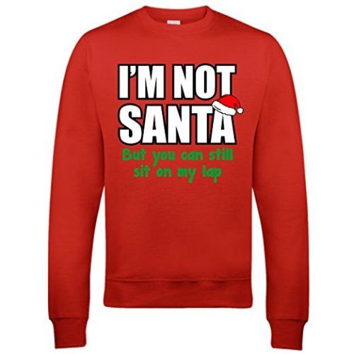 I'm not Santa, but you can sit on my lap - rude Christmas jumper