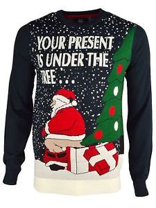 Your present is under the Christmas tree rude Christmas jumper