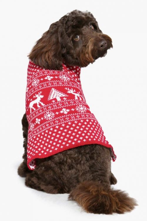 Dog's Fair Isle Christmas Jumper