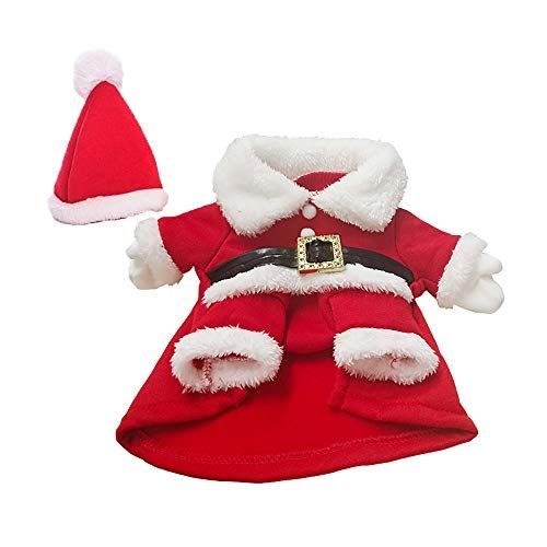 Pet's Santa Outfit