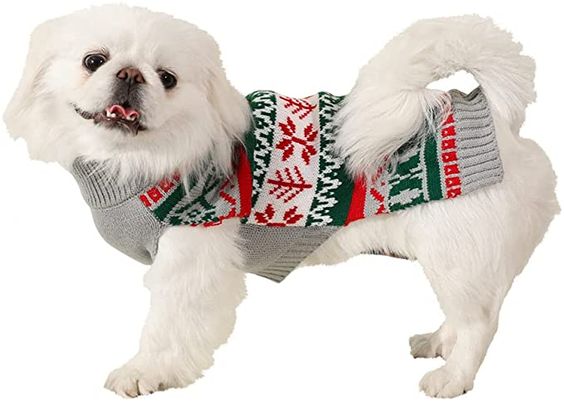 Pet s Christmas jumpers Dogs and Cats Merry Christmas Jumpers