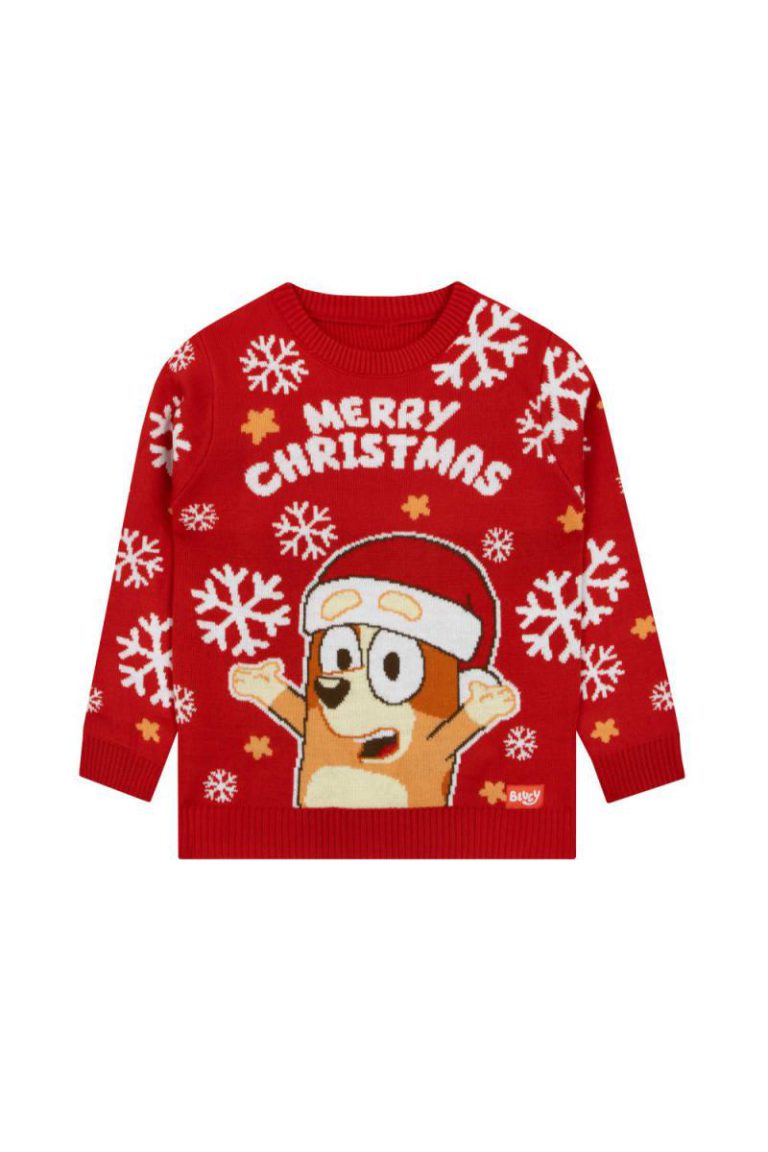 Bingo Christmas jumper from Debenhams