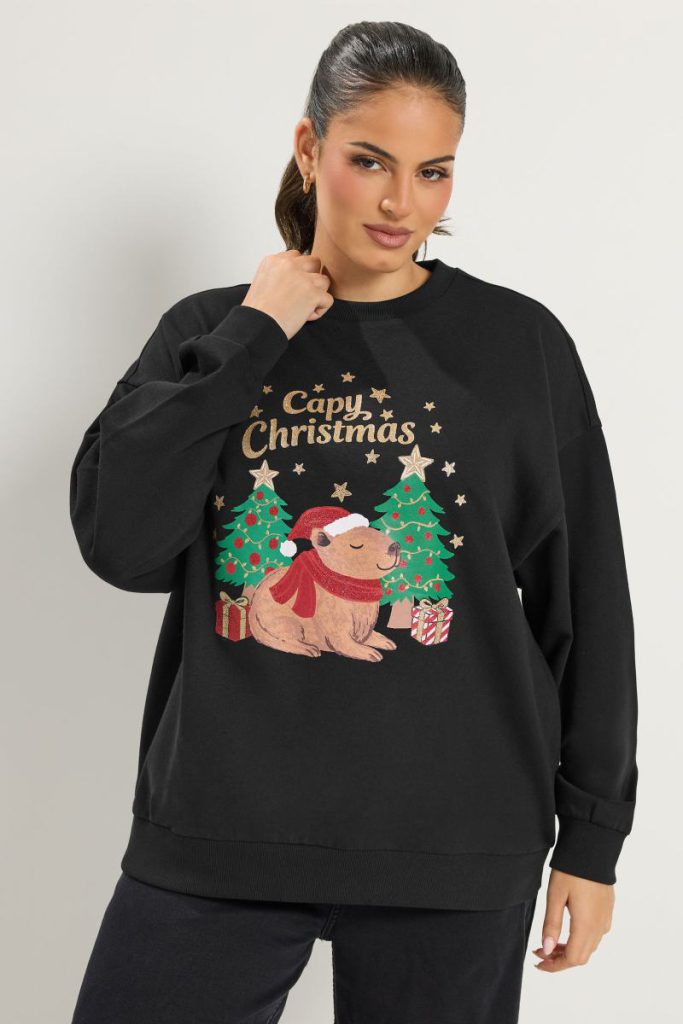 'Capy Christmas' Glitter Novelty Sweatshirt from Debenhams