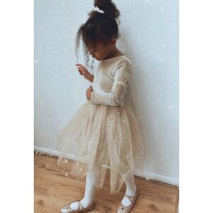 Champagne Gold Christmas Party Tutu Dress from Not On The High Street