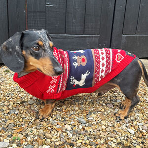 Christmas Red Fairisle Miniature Dachshund Jumper from Not On The High Street