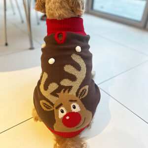 Christmas Rudolf Dog Jumper from Not On The High Street