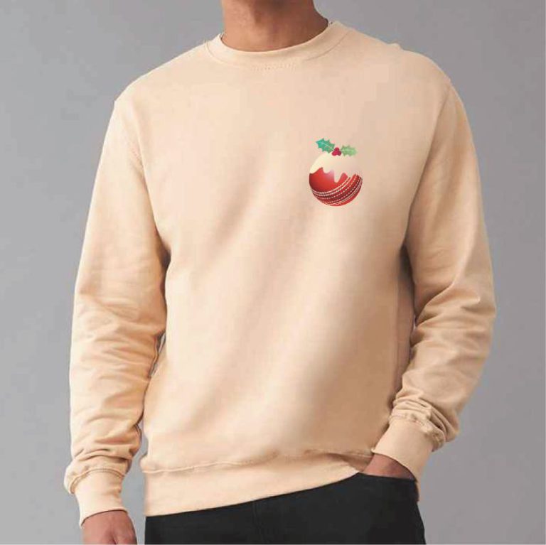 Cricket Christmas Pudding Jumper from Debenhams