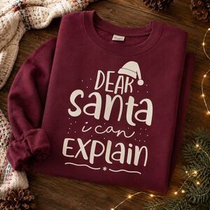 Dear Santa I Can Explain Christmas Jumper from Not On The High Street