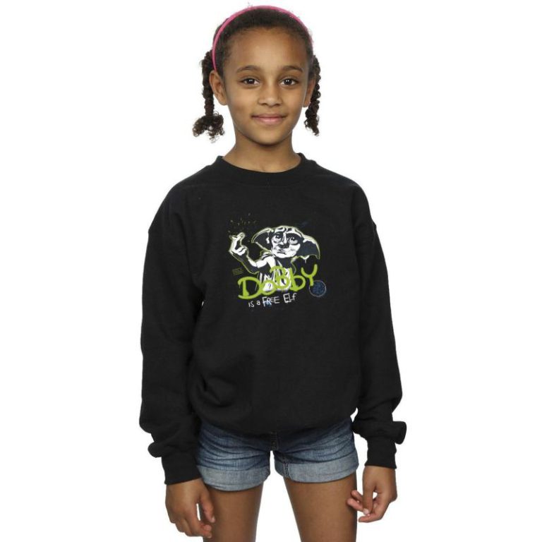 Dobby A Free Elf Sweatshirt Christmas jumper from Debenhams