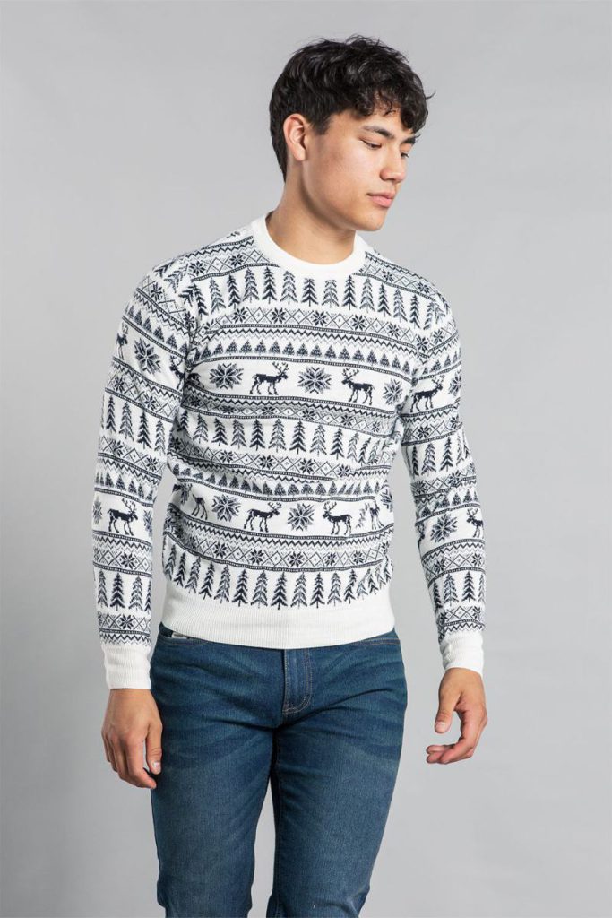 Festive Crew Neck Jacquard Knit Jumper from Boohoo