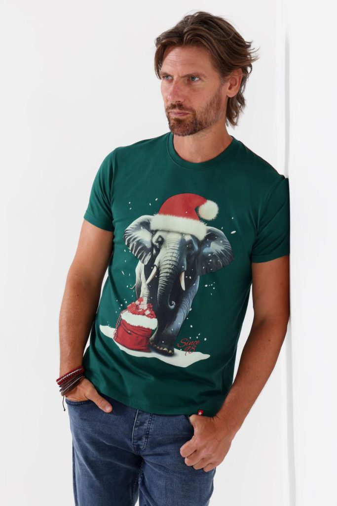 Festive Elephant T-Shirt from Debenhams