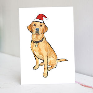Fox Red Labrador Christmas Hat from Not On The High Street