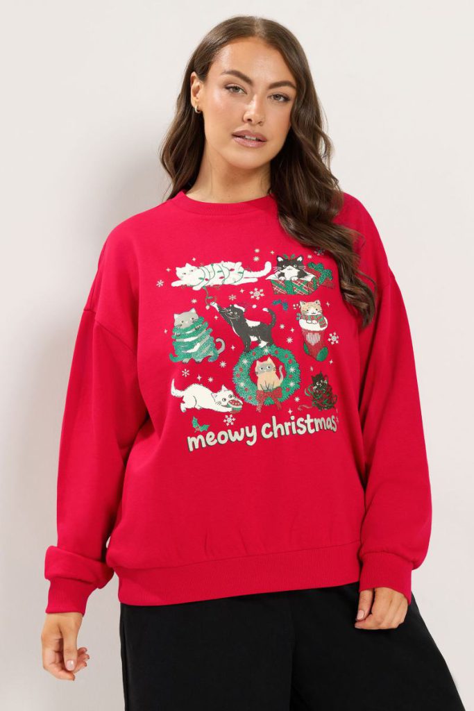 'Meowy Christmas' Glitter Cats Sweatshirt from Boohoo
