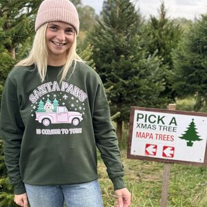 Personalised Green Santa Paws Dog Lover Christmas Jumper from Not On The High Street