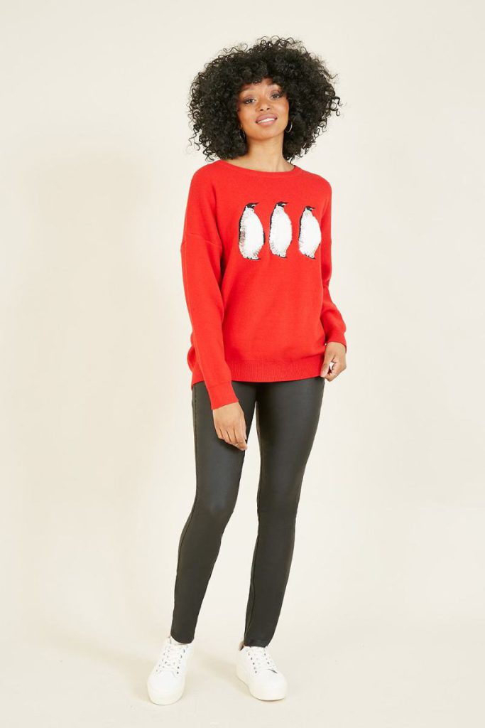 Red Festive Penguin Knitted Xmas Jumper from Debenhams