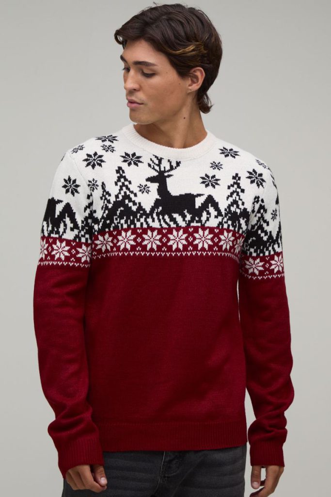 Regular Fit Fair Isle Knitted Christmas Jumper from Boohoo