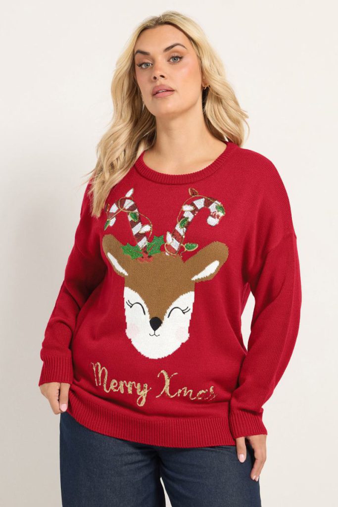 Reindeer 'Merry Xmas' Novelty Jumper from Boohoo