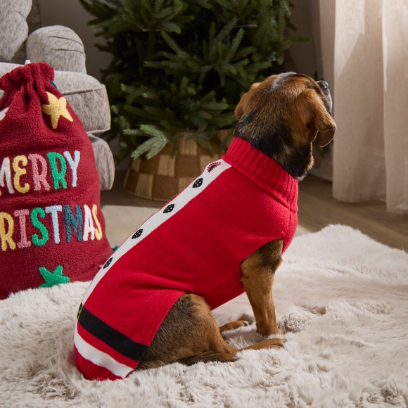 Santa Pet Jumper Christmas jumper from Dunelm