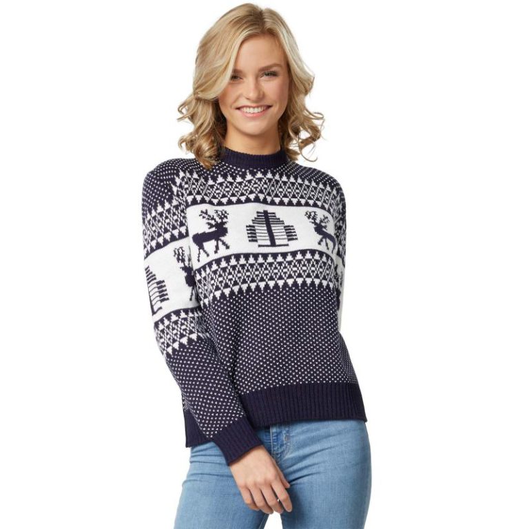 Winter Wonderland Ladies' Christmas Jumper Blue in White from Debenhams